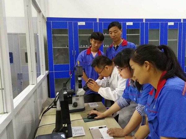 tngjcbd02 UED·(中国区)-官网