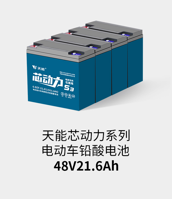 UED官网电池48v20ah