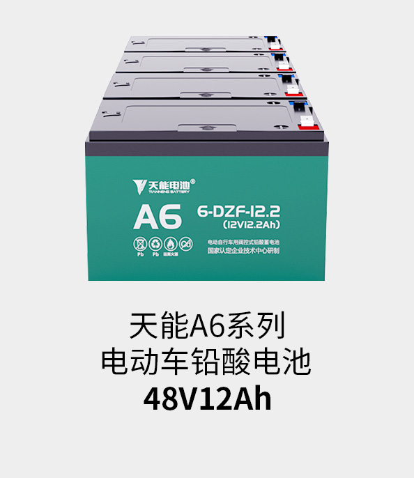UED官网电池48v12ah