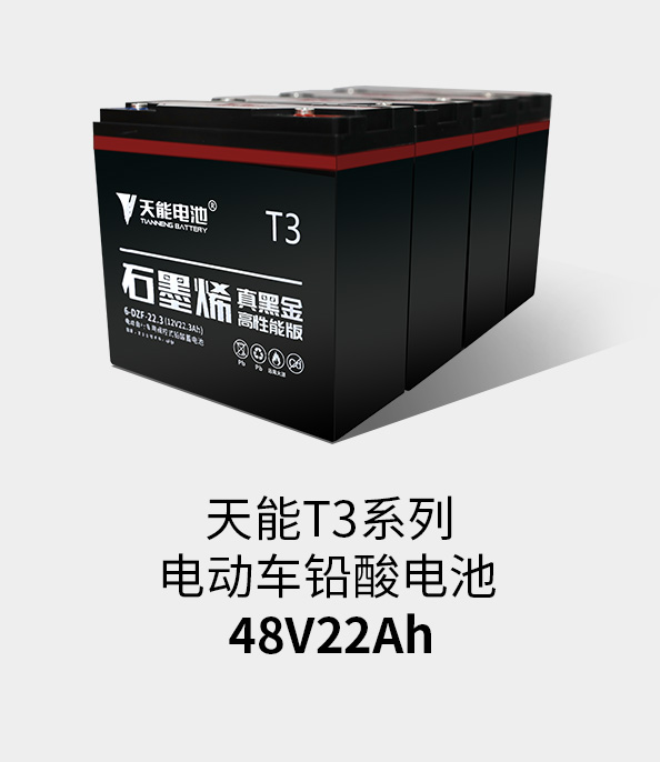 UED官网T3系列48v22ah
