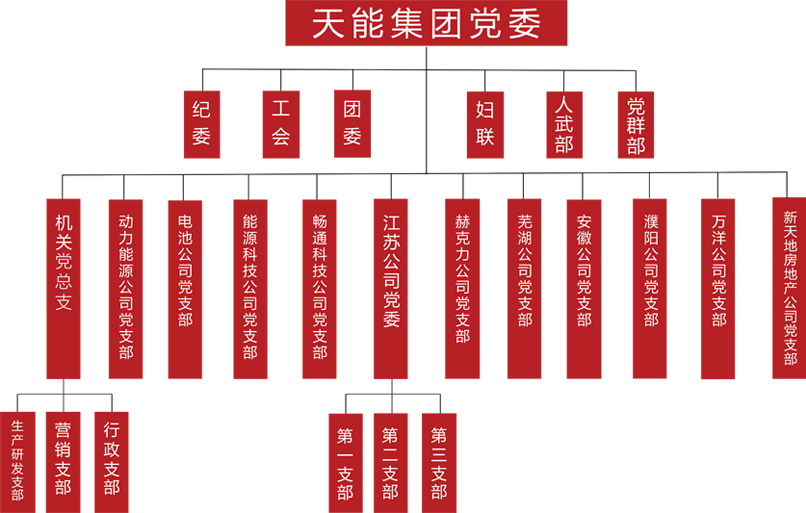 UED官网建团党委组织架构